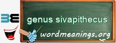 WordMeaning blackboard for genus sivapithecus